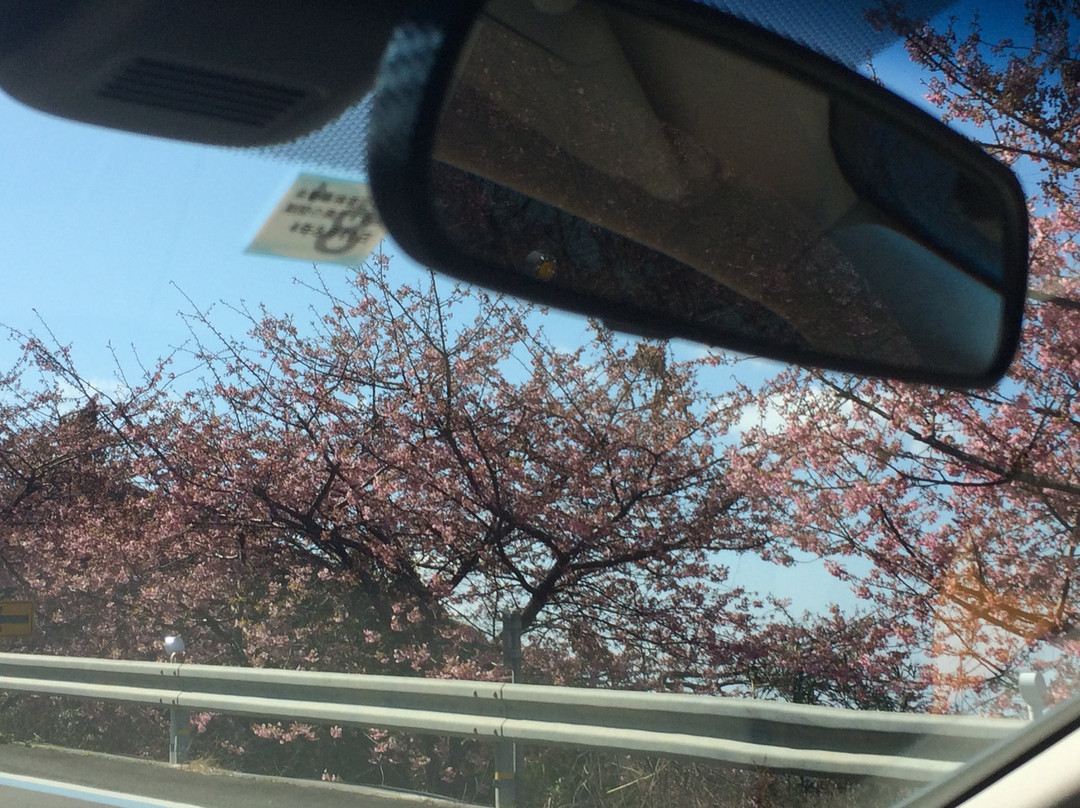 Cape Sada Melody Line-伊方町必去景点