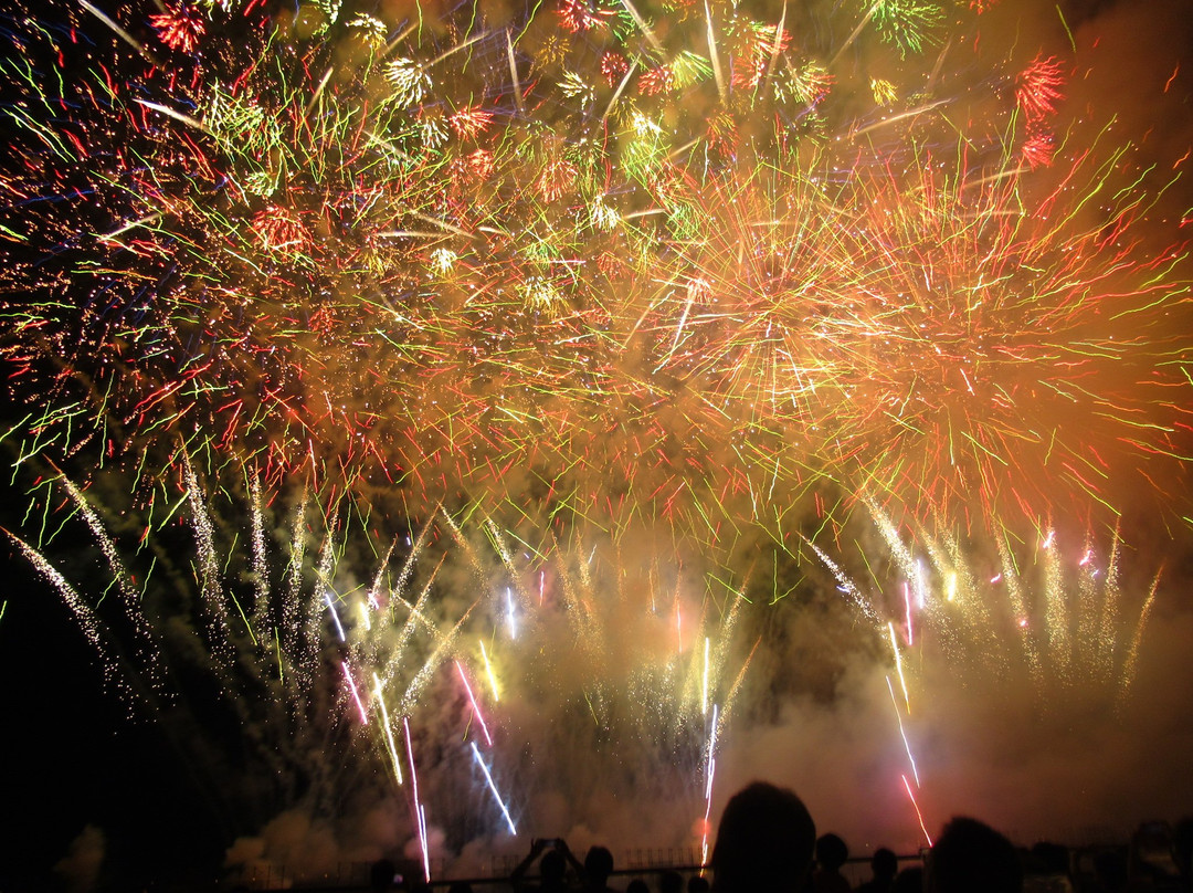 Ashikaga Fireworks-足利市必去景点