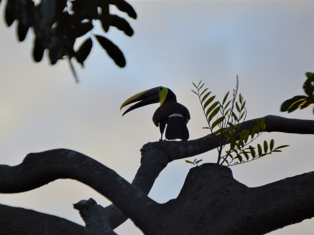 Pacific Edge Eco Lodge主图