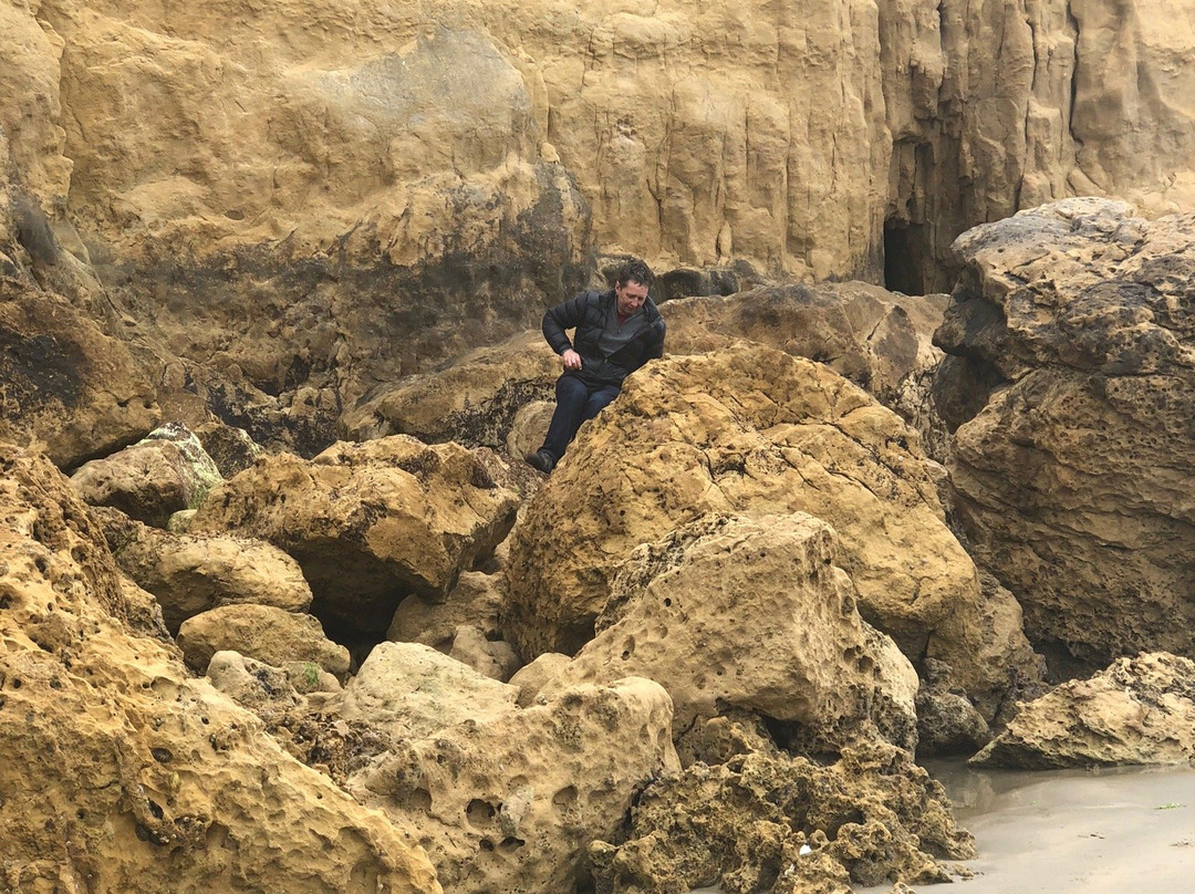 Waikouaiti Beach景点图片