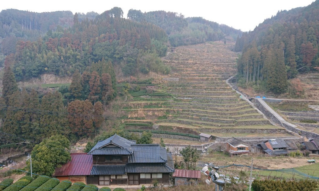 Ishizumi Rice Terraces景点图片