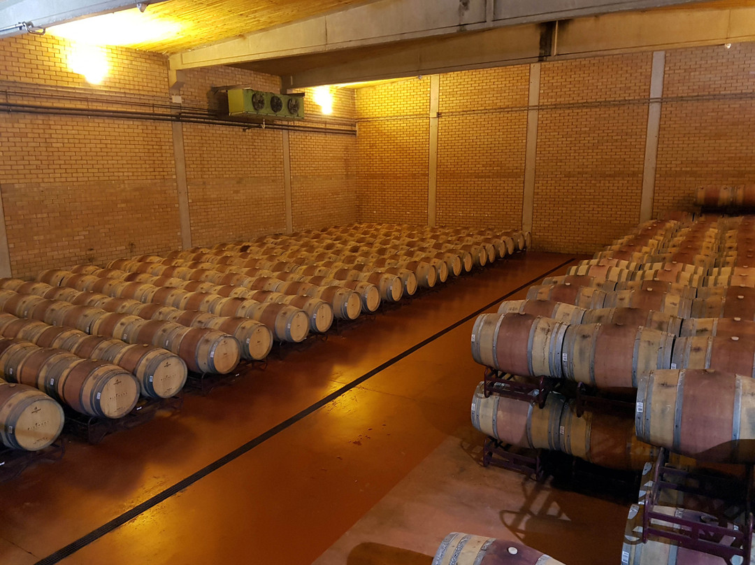 Bodega Pirineos景点图片