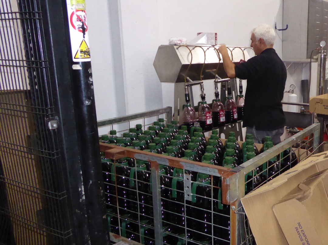 BodegasXalo景点图片