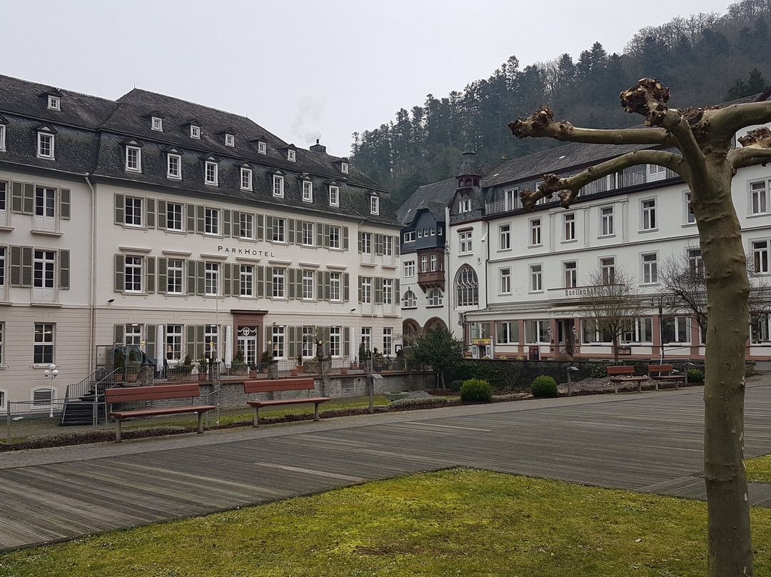 Parkhotel Bad Bertrich主图