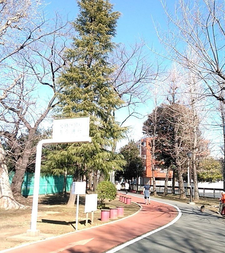 Aokicho Park-川口市必去景点