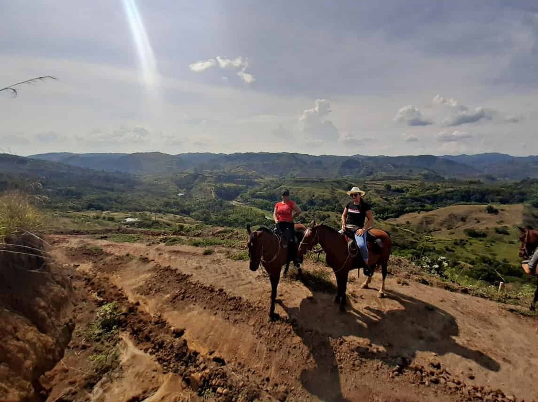Cabalgatas El Carmelo-La Tebaida必去景点