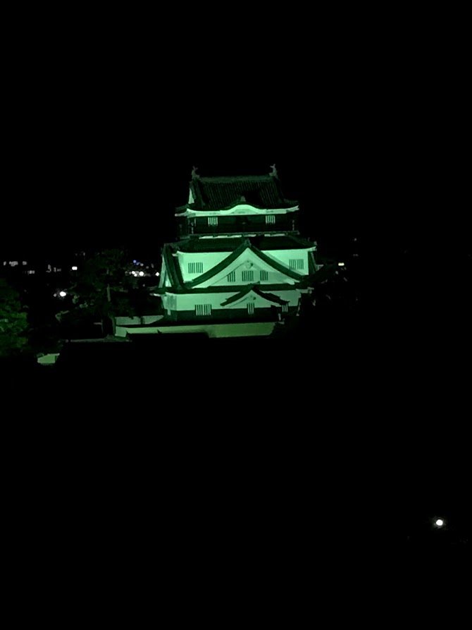 Okazaki New Grand Hotel-酒店景观
