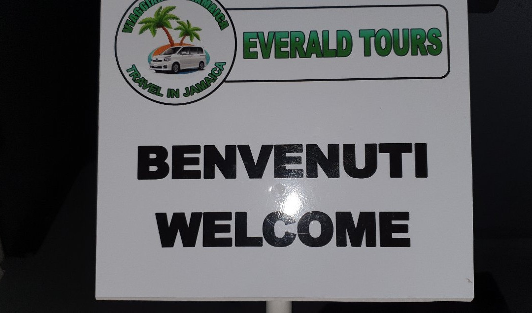 Everald's Jamaica Private Day Tours-内格里尔必去景点