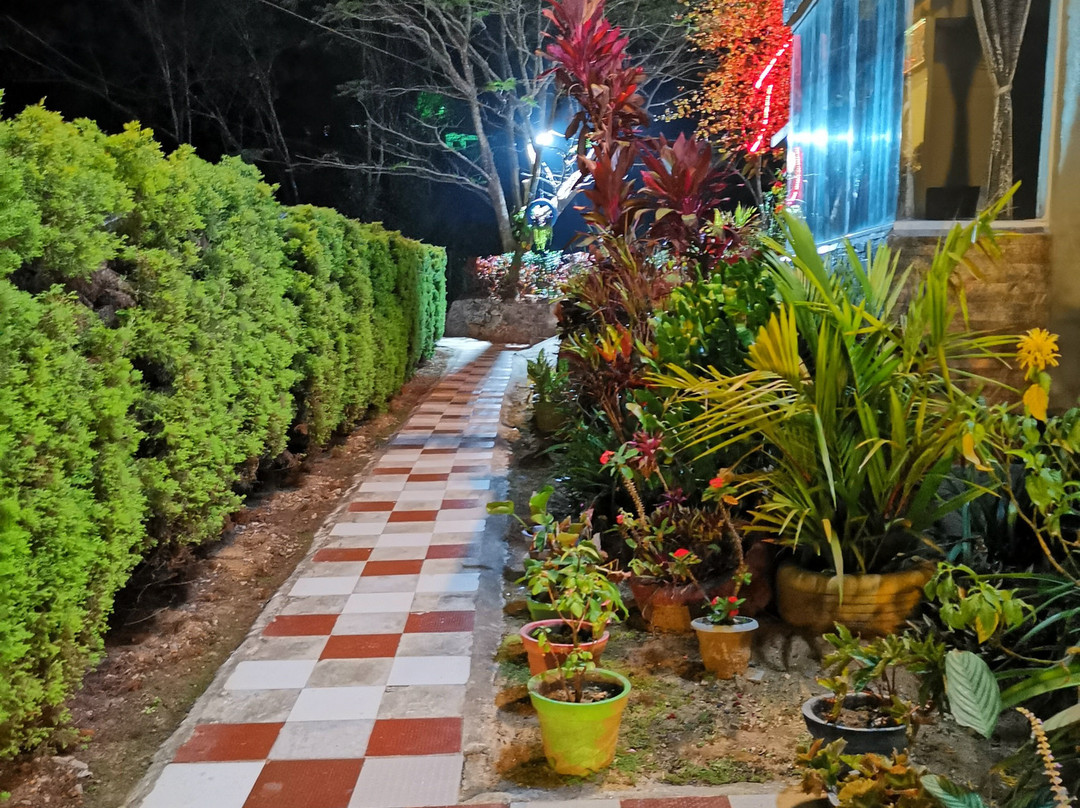 Petra Family Guest House主图