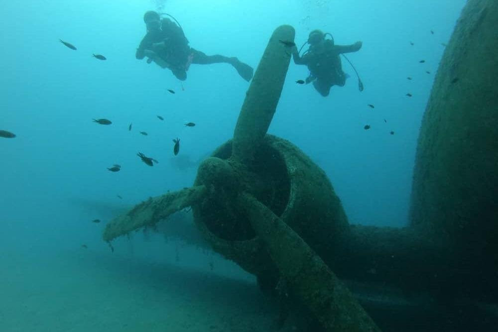 Guru Dive Doğa Sporları ve Eğitim Merkezi-伊斯坦布尔必去景点