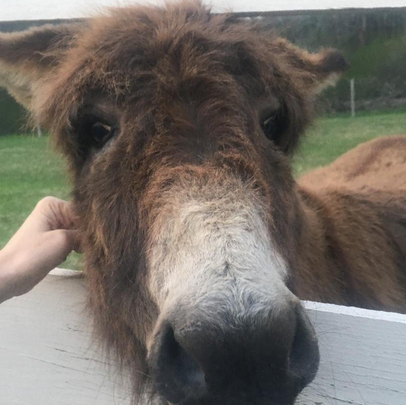 Quail's Covey Bed & Breakfast主图