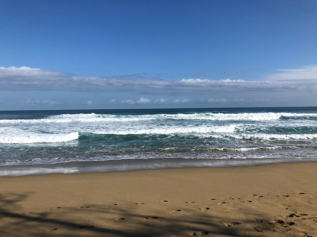 Pauhana Surf School-喀巴里特必去景点