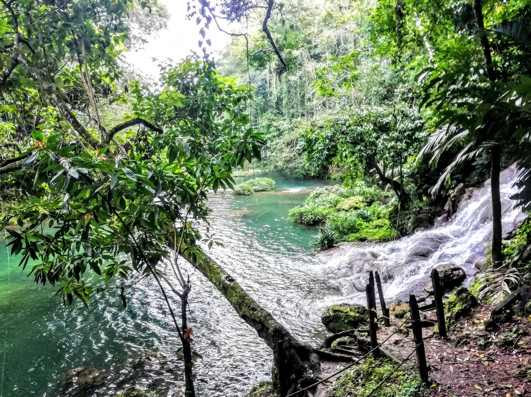 Welib Ja Waterfalls-帕伦克必去景点