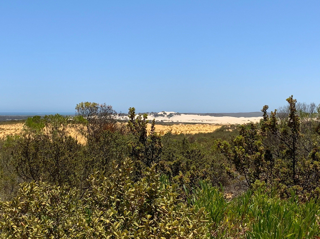 Pinanacles Desert-Nambung必去景点
