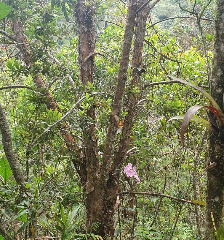 Reserva Orquideas-Jardin必去景点