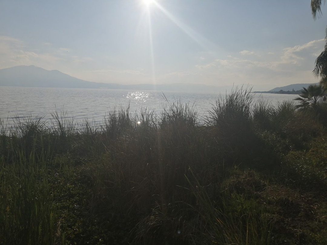 Parroquia de San Andrés Apostol-Ajijic必去景点