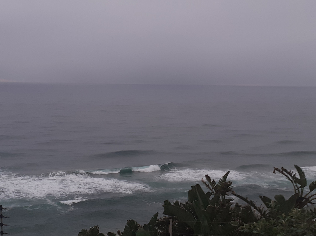 Dolphin Point Bed & Breakfast主图