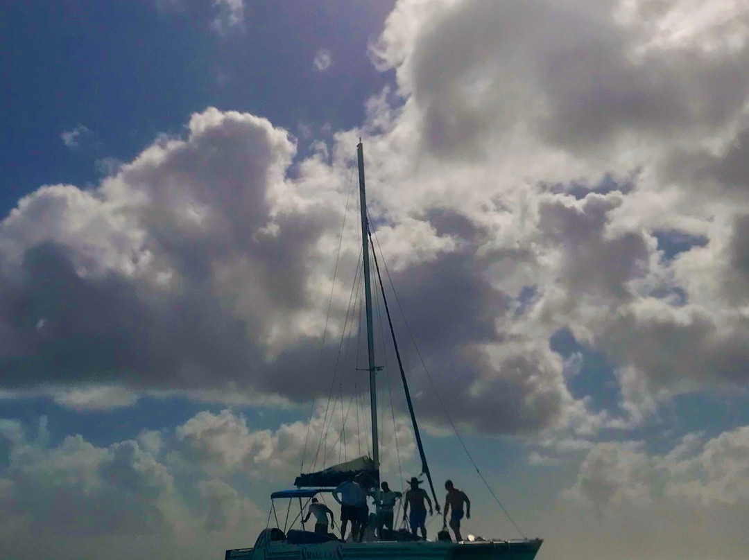Small Cats Catamaran Sailing Cruises-布里奇顿必去景点