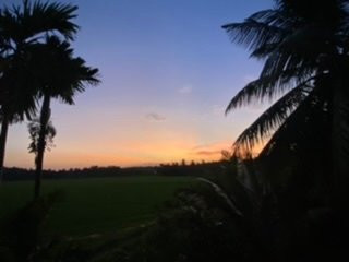 Paddy House Villa Home Stay主图