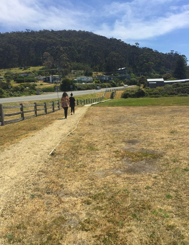 Dog Line-伊格尔霍克内克必去景点