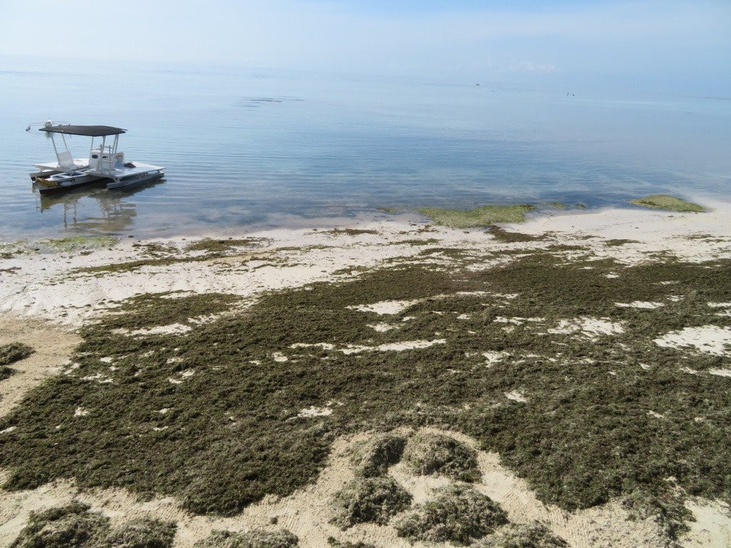 J＆R住宅酒店主图