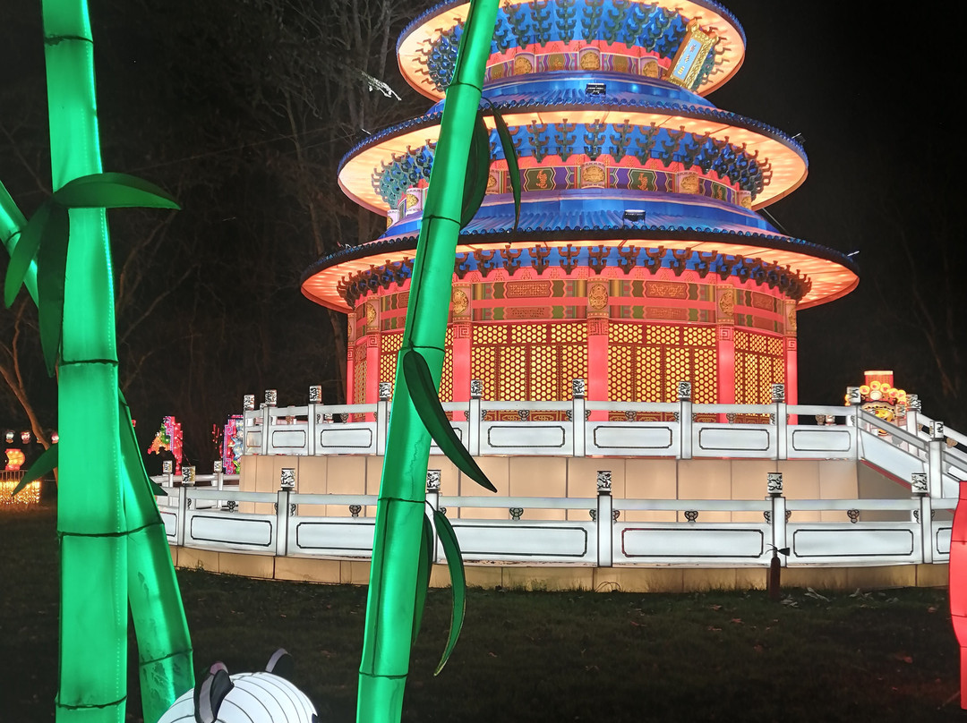 Festival Des Lumieres Celestes景点图片