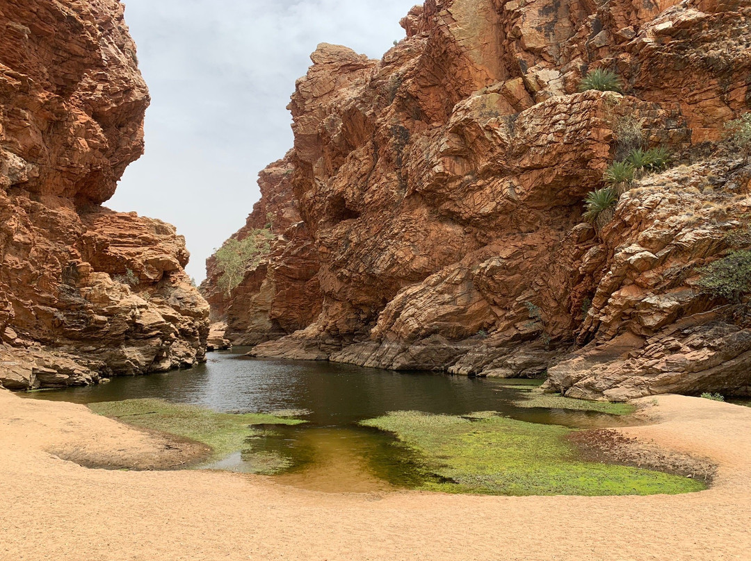 Ellery Creek Big Hole-爱丽斯泉必去景点