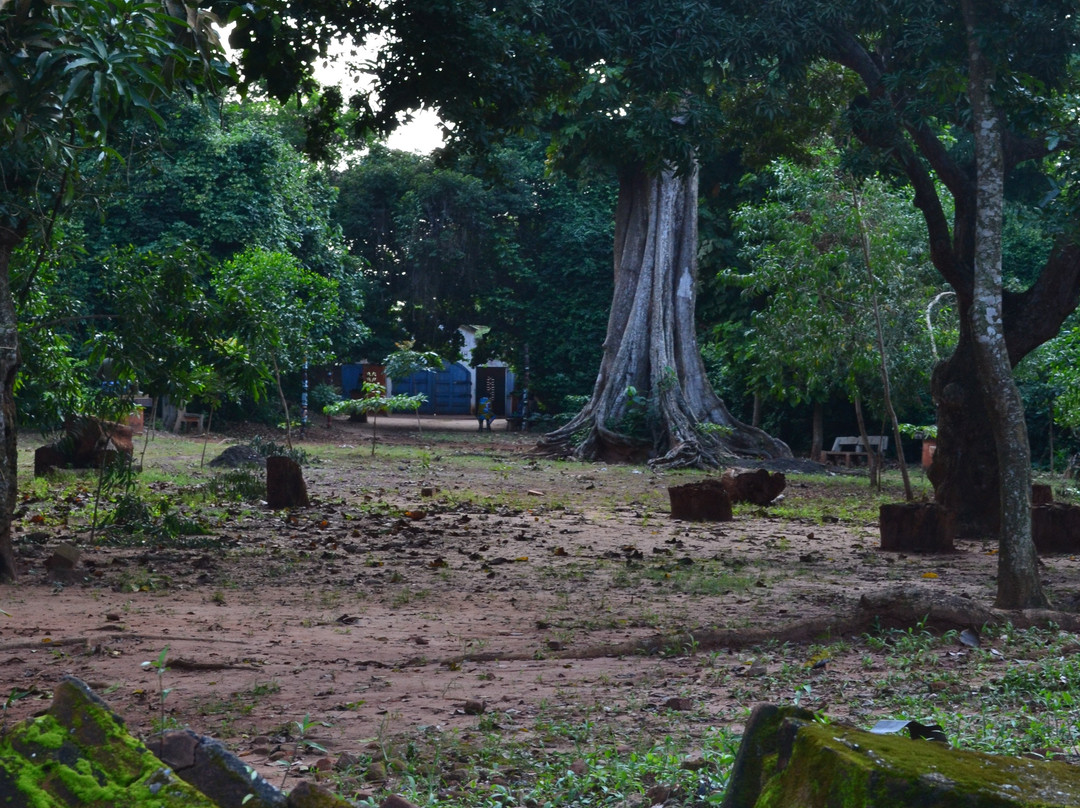 Foret Sacree de Kpasse-Ouidah必去景点