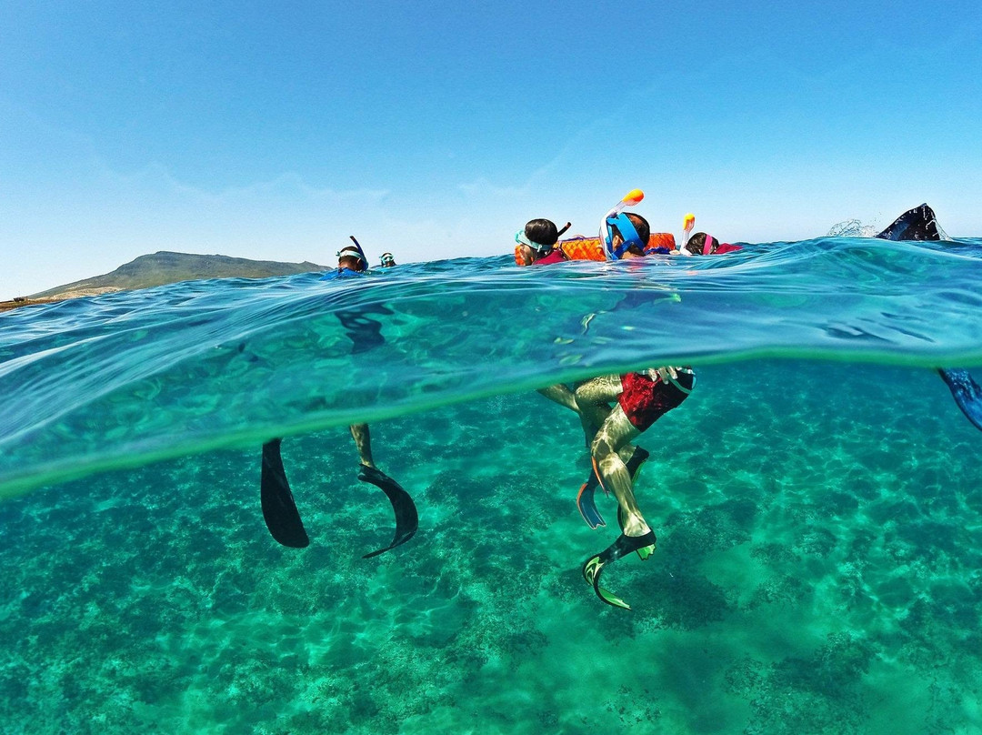 EcoRand Sidi Mechreg-比塞大必去景点