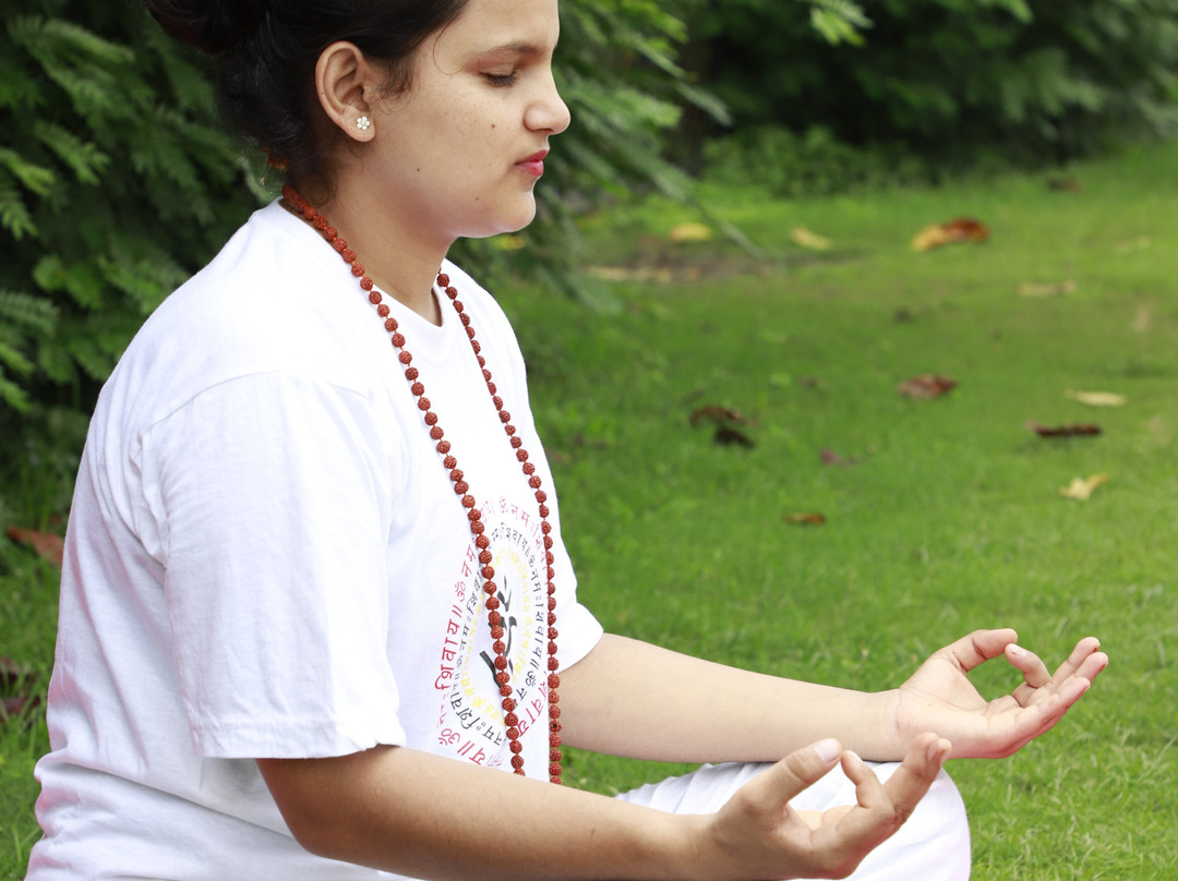 Naturoville Wellness Resort Rishikesh - Surrounded by Nature, Rooted in Wellness主图