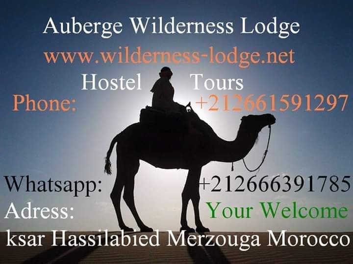 Wilderness Lodge Tours主图