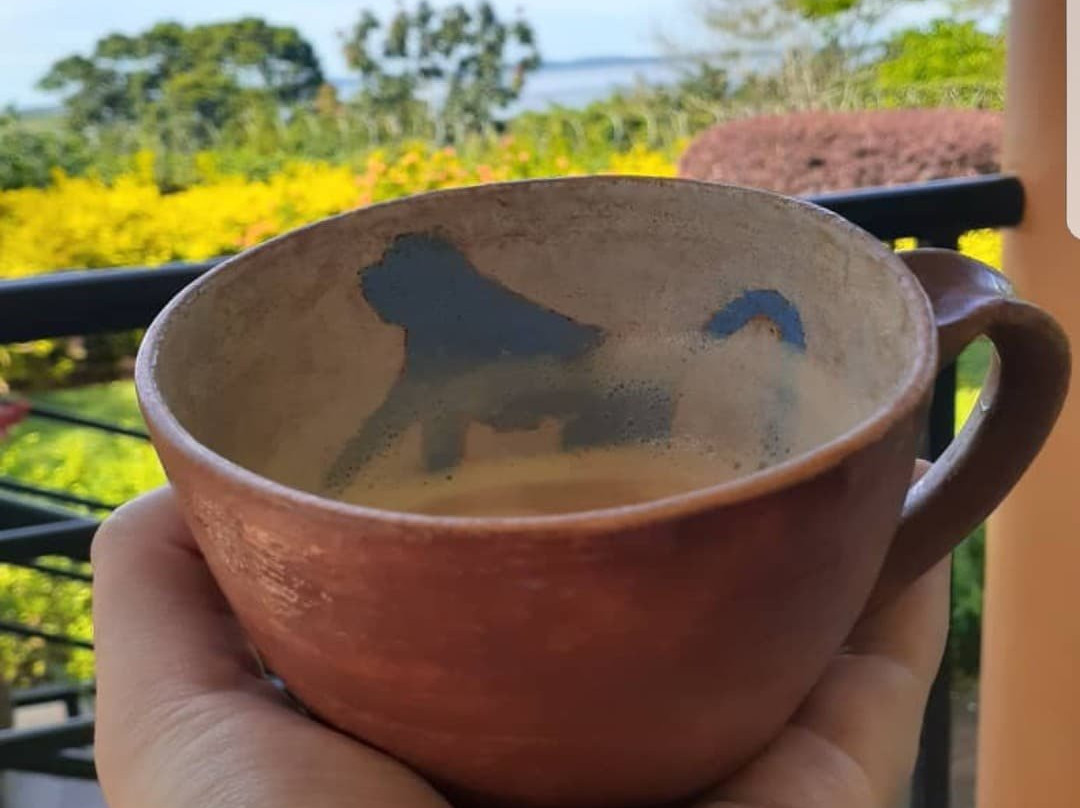 BlueMonkey Guesthouse主图