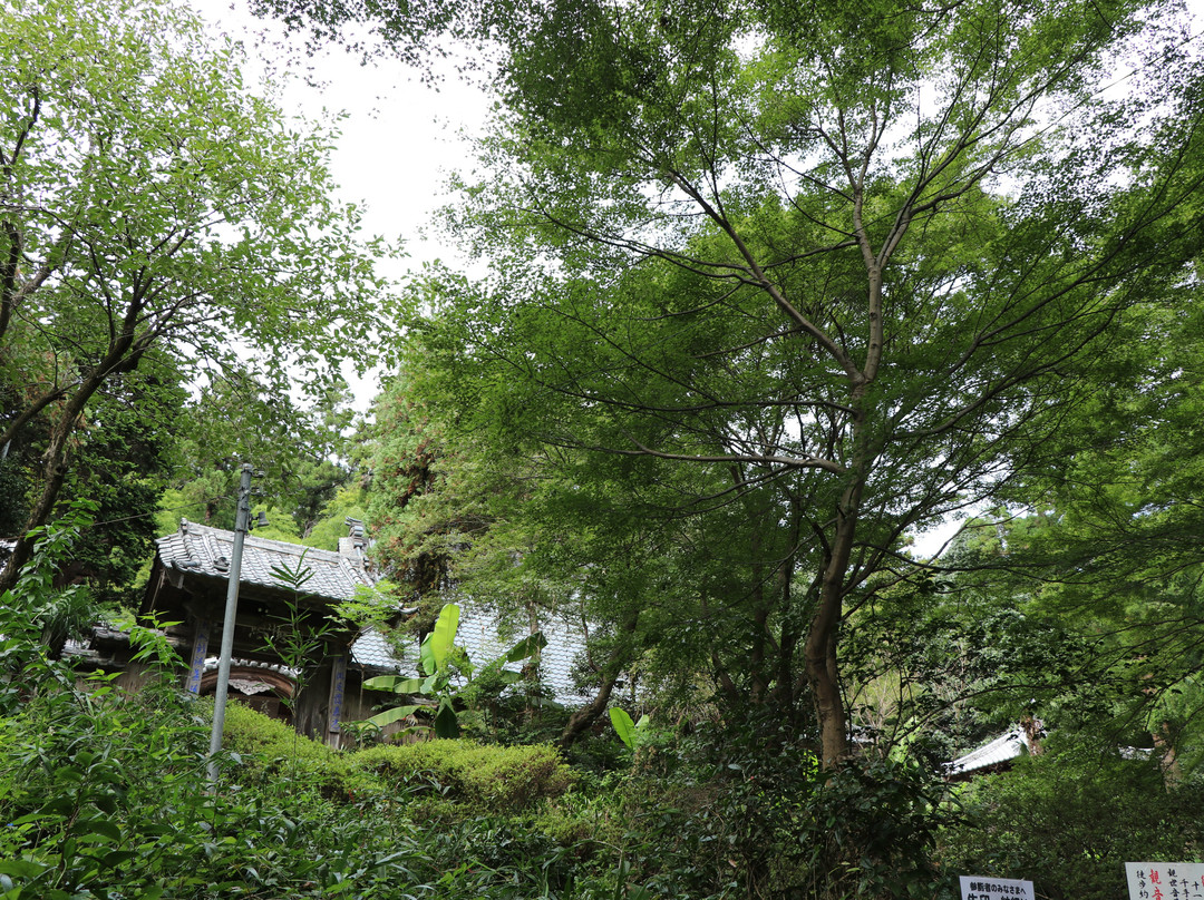 Jikoji Temple-都几川町必去景点