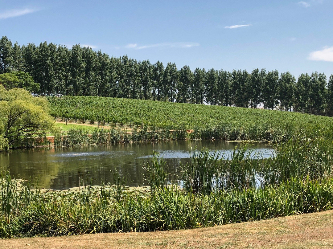 TarraWarra Museum of Art-希尔斯维尔必去景点