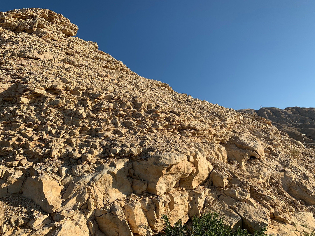 Green Mubazzarah-阿布扎比必去景点