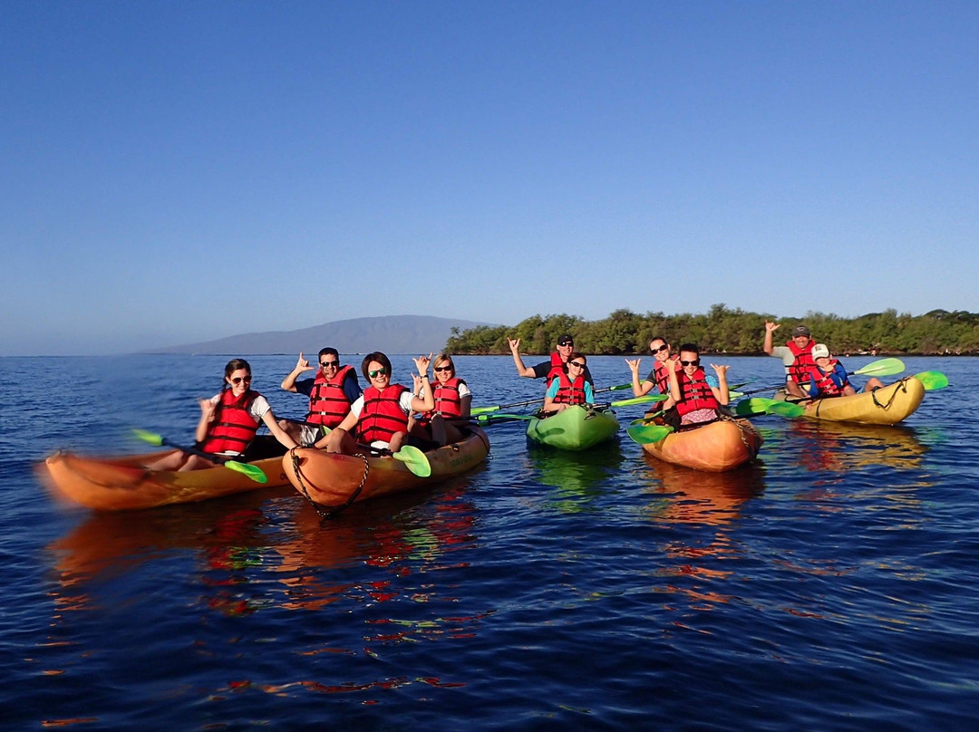 Maui Kayak Adventures景点图片