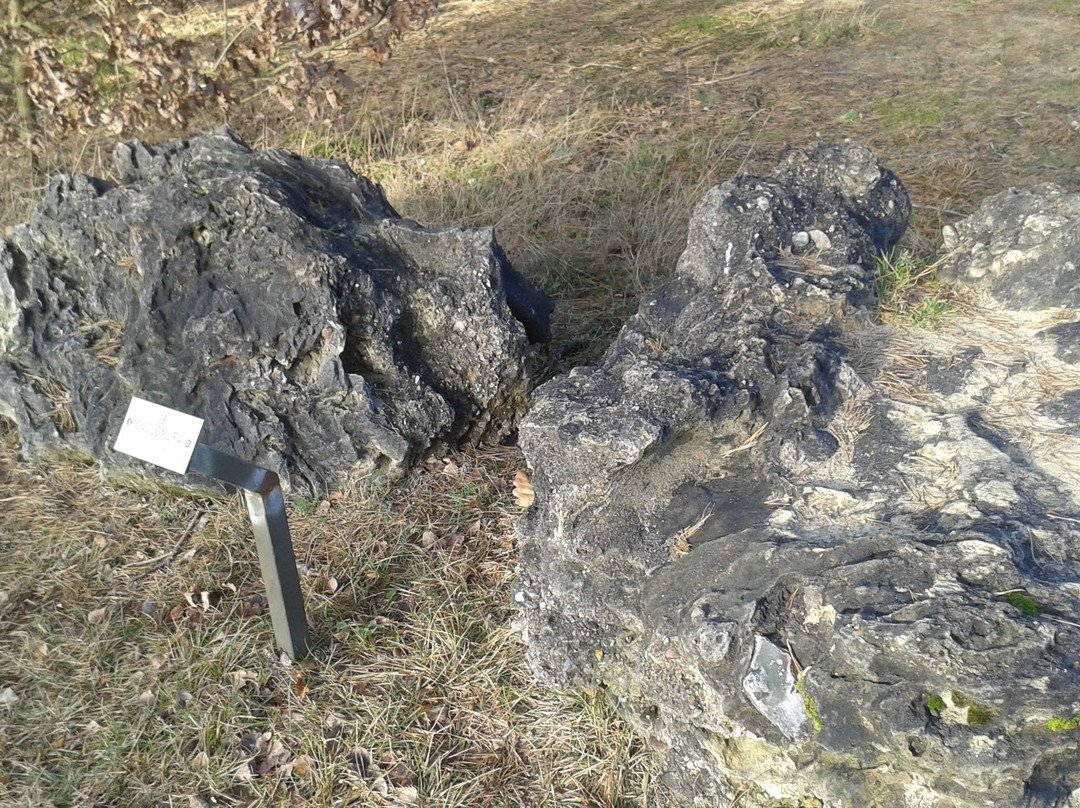 Steingarten Lamstedt-Lamstedt必去景点