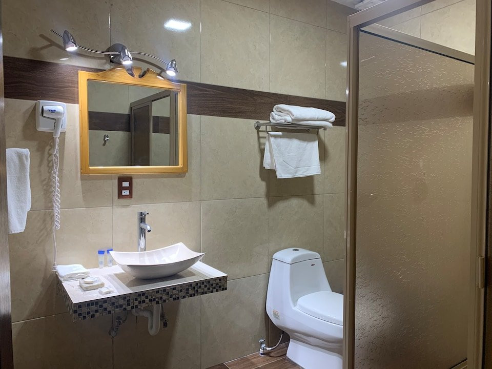 Collection O Zapata Hotel y Plaza主图