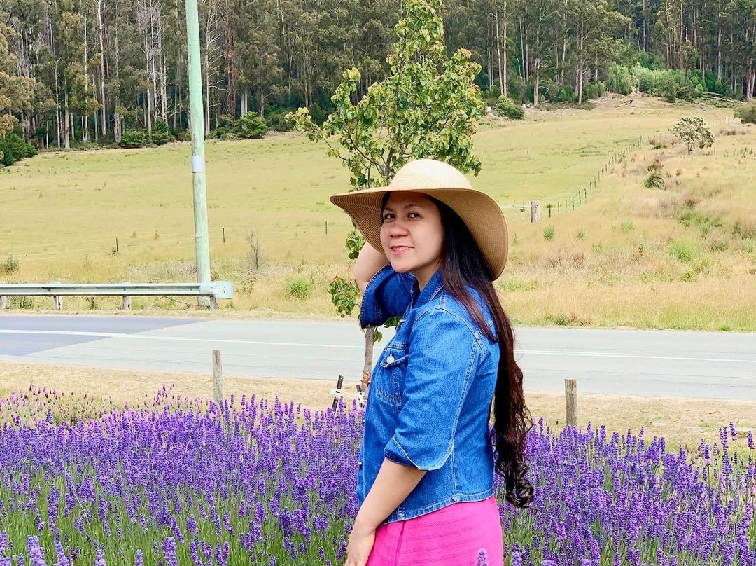 Port Arthur Lavender Farm · Tourist Attraction景点图片