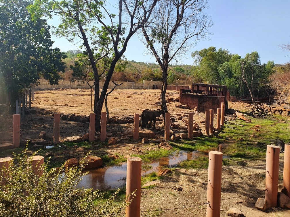 Zoo National du Mali-巴马科必去景点