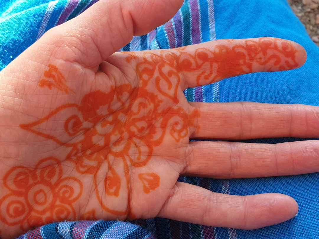 Morocco Reisen Adventures-扎古拉必去景点