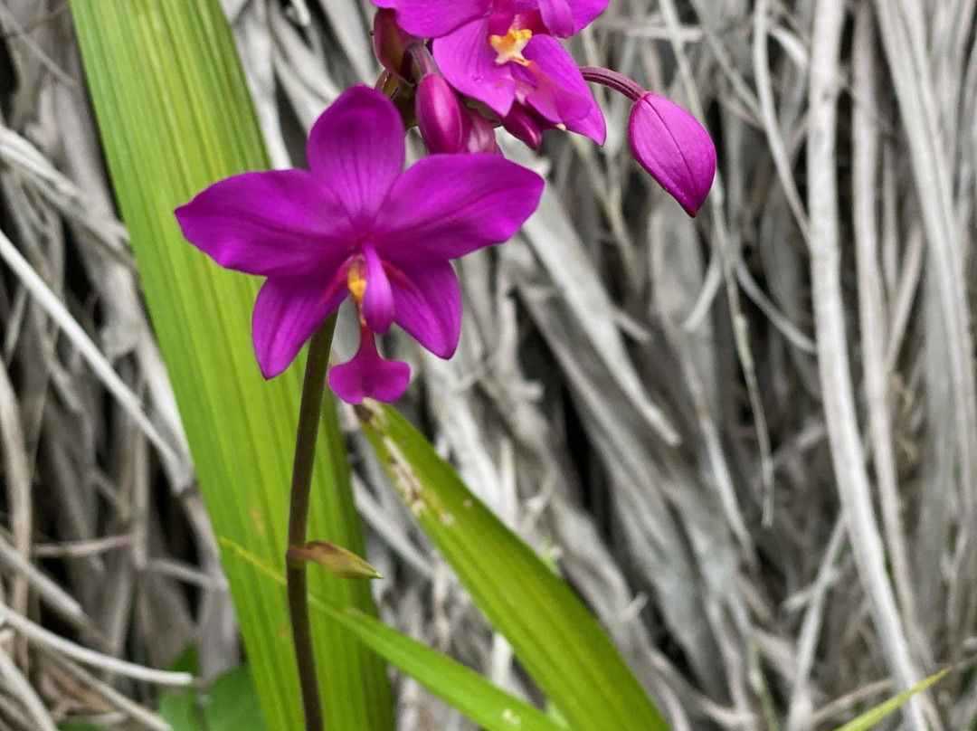 Finca Excelencia-Soroa必去景点