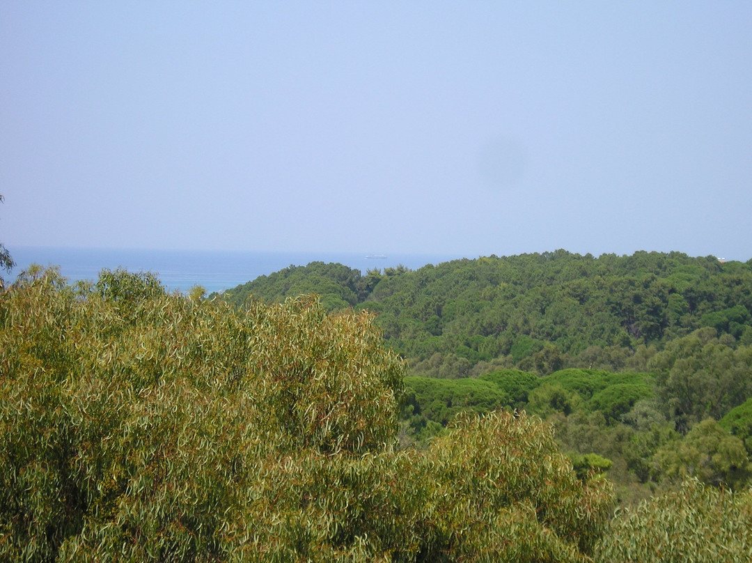 Grecotel Luxme Palms, At Riviera Olympia & Aqua Park主图