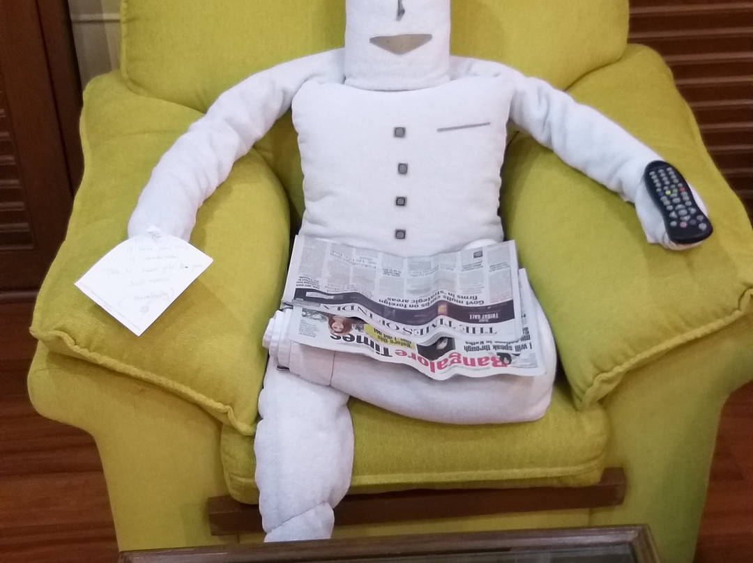 班加罗尔保罗酒店主图