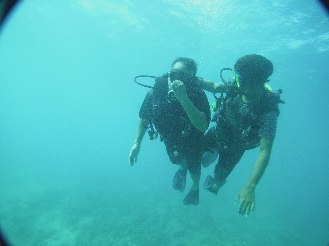 India Scuba Explorers | Padi Dive Center-Neil Island必去景点