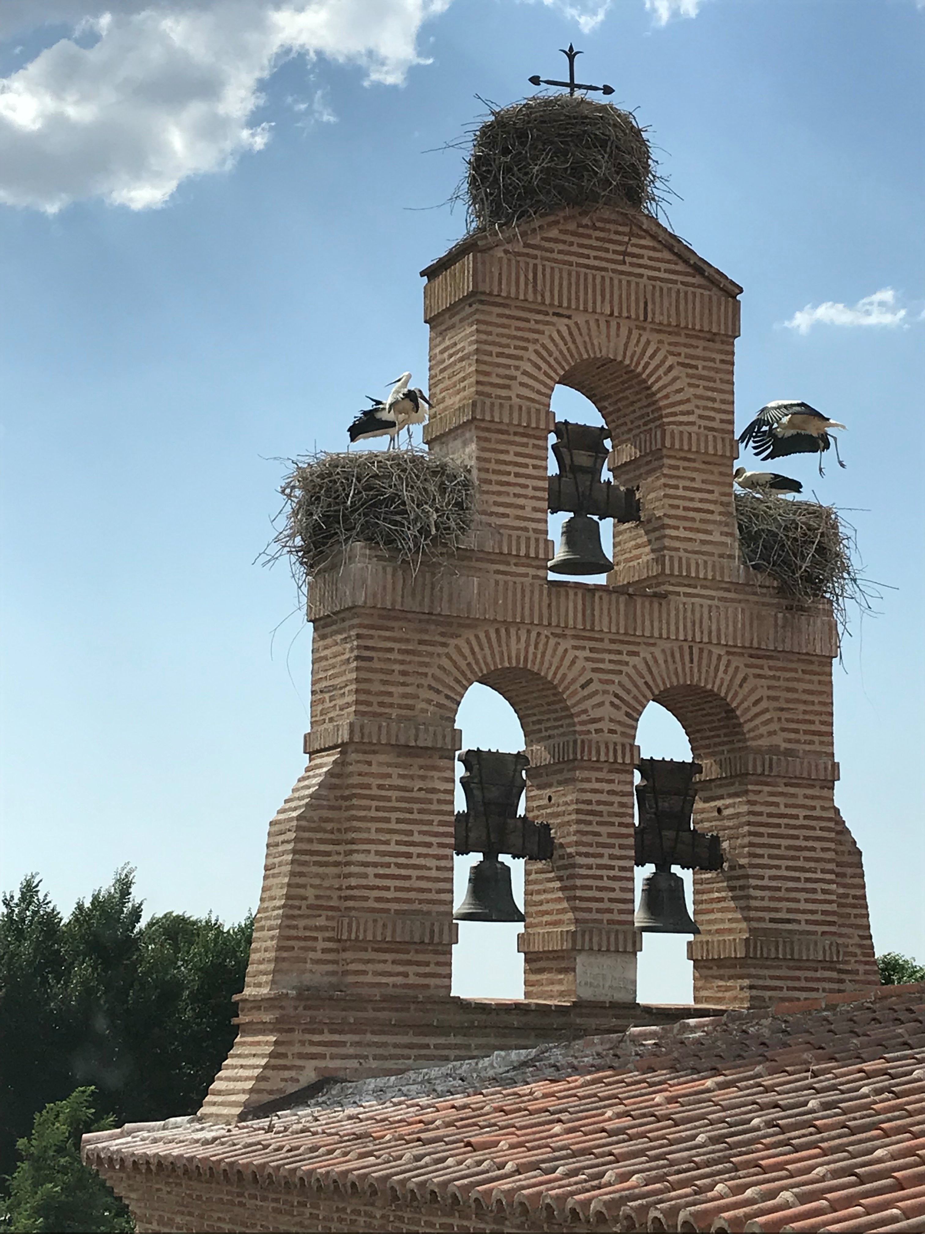 Castilla Termal Olmedo-浴室