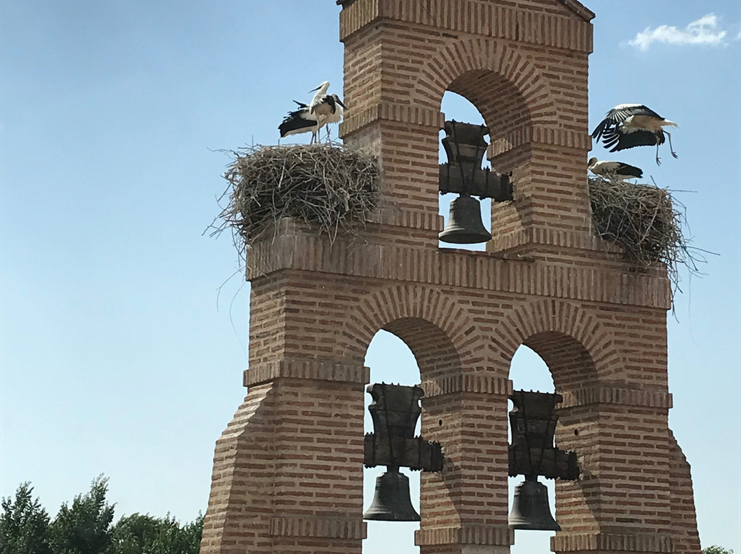 Castilla Termal Olmedo主图