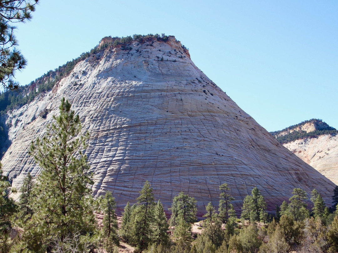 Checkerboard Mesa-锡安国家公园必去景点