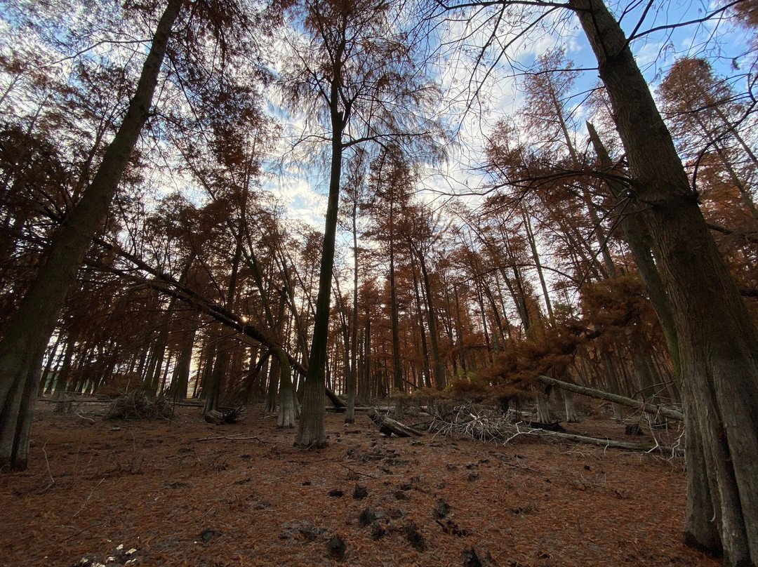四明湖-余姚市必去景点