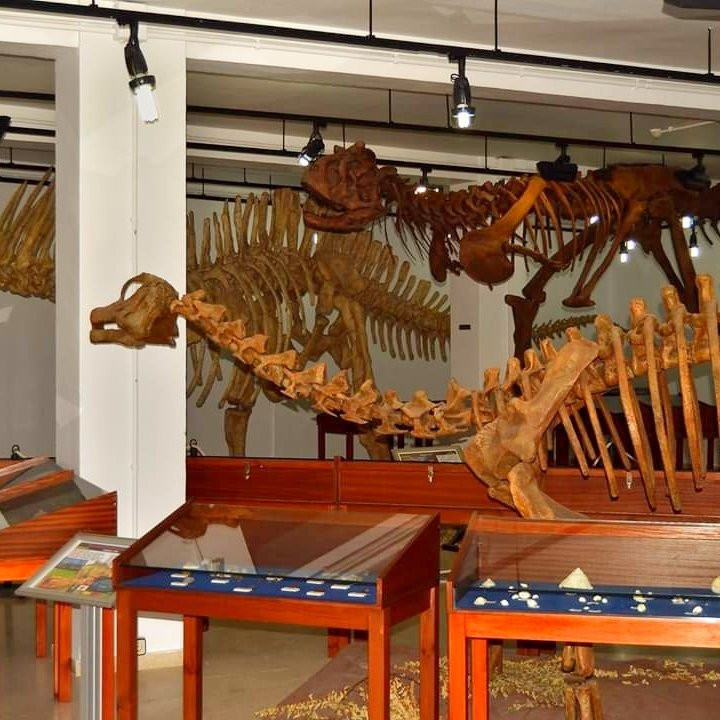 Palaeontology Museum of Estepona景点图片